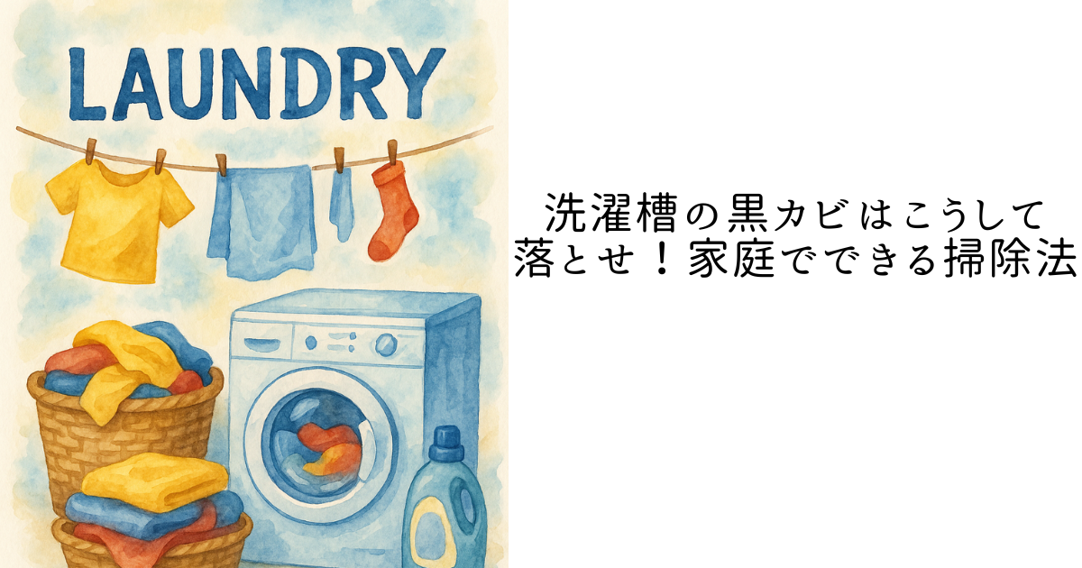 洗濯槽の黒カビはこうして落とせ!家庭でできる掃除法